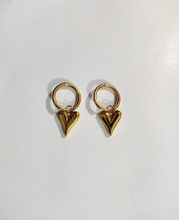 Stainless steel Anti tarnish Heartt Themed Earrings - Image 4