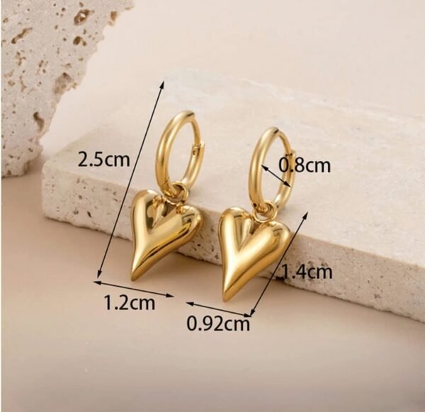 Stainless steel Anti tarnish Heartt Themed Earrings - Image 3