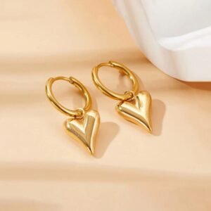 Stainless steel Anti tarnish Heartt Themed Earrings