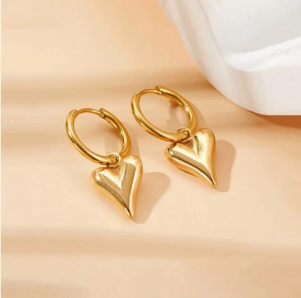 Stainless steel Anti tarnish Heartt Themed Earrings