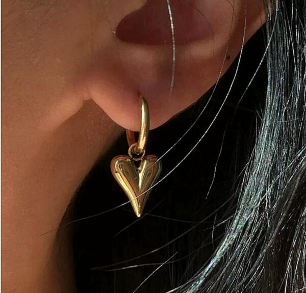 Stainless steel Anti tarnish Heartt Themed Earrings - Image 2
